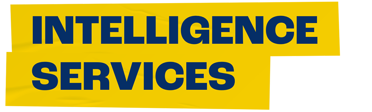Intelligence Services