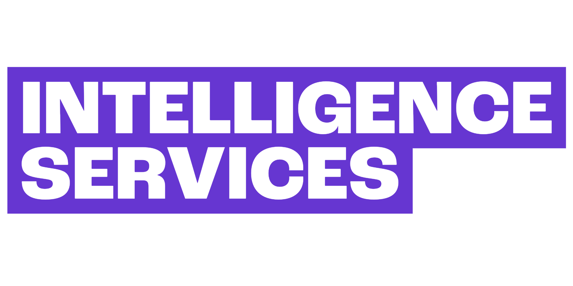Intelligence Services